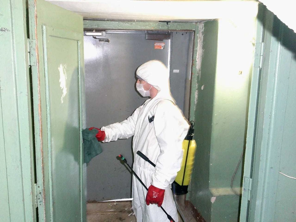Специалисты орошают поверхности стен, пола и потолка дезинфицирующим раствором. Фото: Администрация Советского района