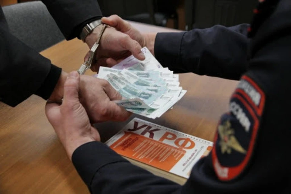 В Смоленске осудят пенсионера за по попытку дать взятку полиции Фото: pixabay.com.