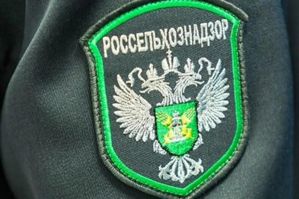 Между ЕАО и Хабаровским краем задержали животных без документов