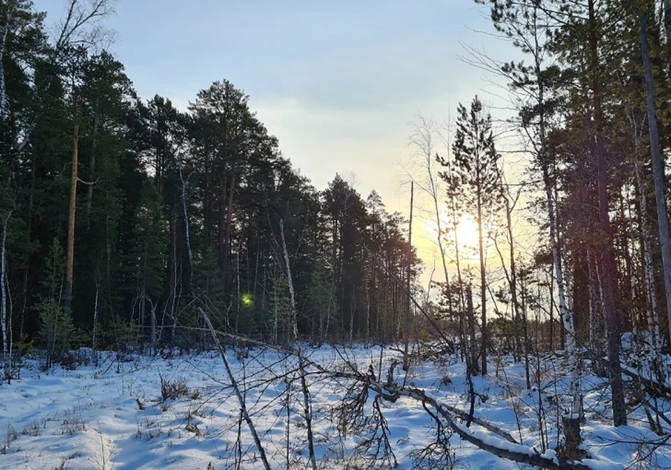 Погода в Югре на 4 декабря 2020 года: пасмурное небо и небольшой снег Фото: Виктория Терина