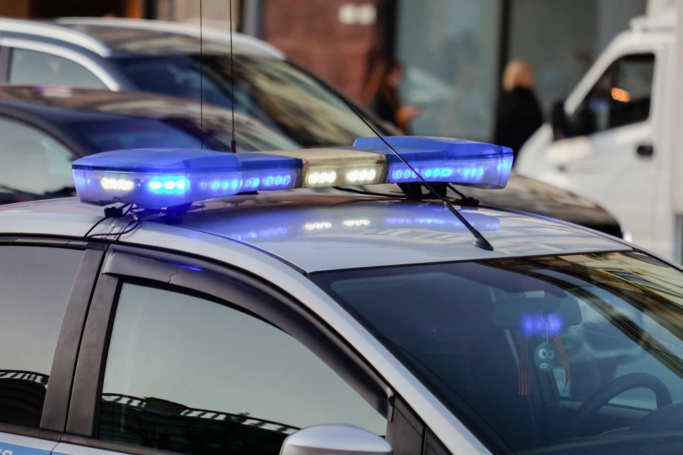 Полиция задержала подозреваемого в поджоге автомобиля в Петербурге