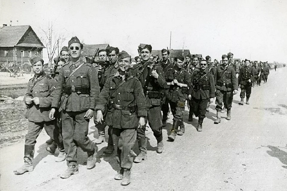 Текст посвящён «Голубой дивизии» — примерно 40 тысячам испанских добровольцев, которые в 1941 году примкнули к вермахту и участвовали в блокаде Ленинграда