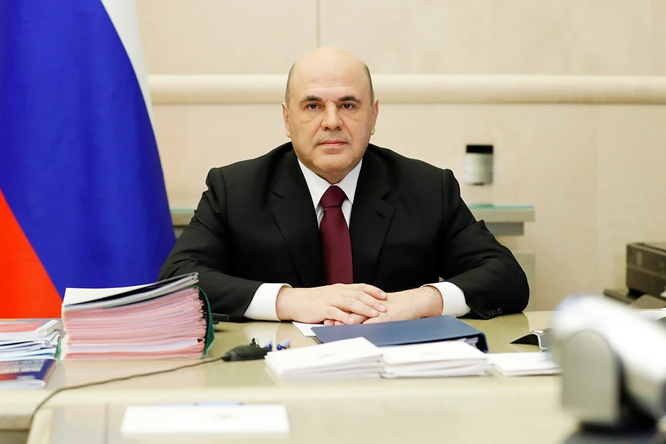 Премьер-министр Михаил Мишустин провел заседание правительства. Фото: Дмитрий Астахов/POOL/ТАСС