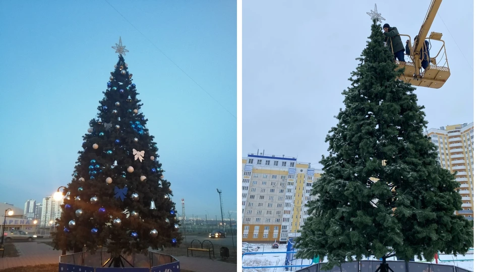 В Болховском и Зареченском установили праздничные елки