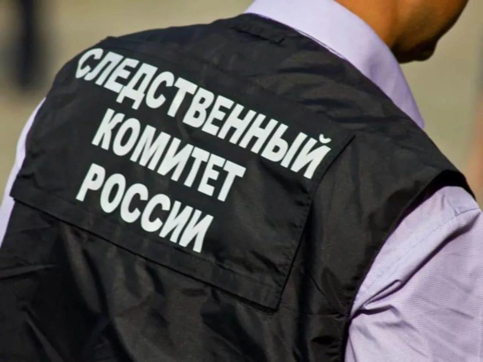 СКР обратился к гражданам из-за находки 71 скелета в Дорогобуже.