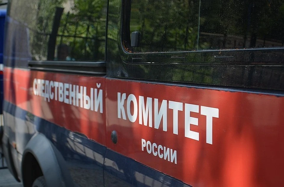 В городе Егорьевске организована проверка по факту обнаружения тела новорождённого