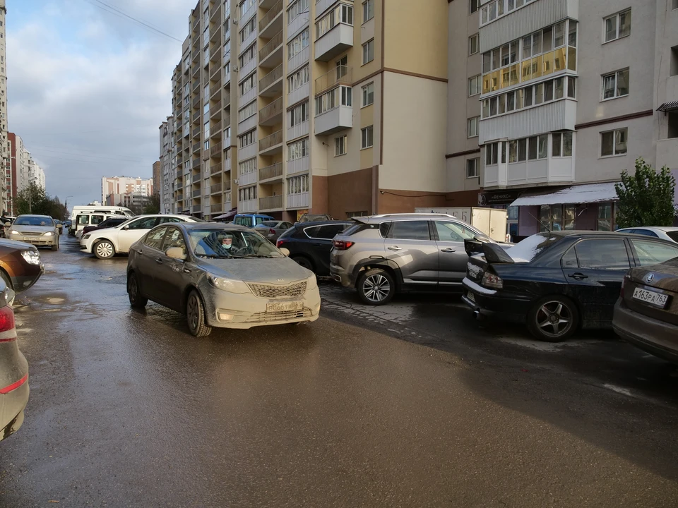 Хинштейн считает, что город пока не готов к введению платных парковок