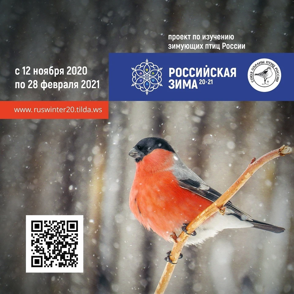 Фото предоставлено Центром охраны животных "Наша природа"