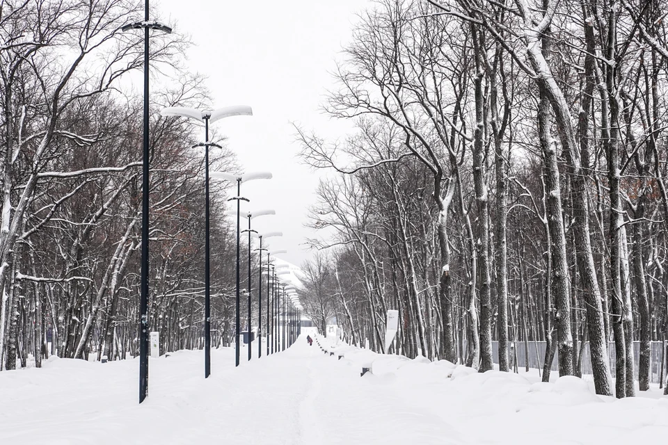 В городах Золотого кольца продолжают действовать ограничение, установленные в прошлом году