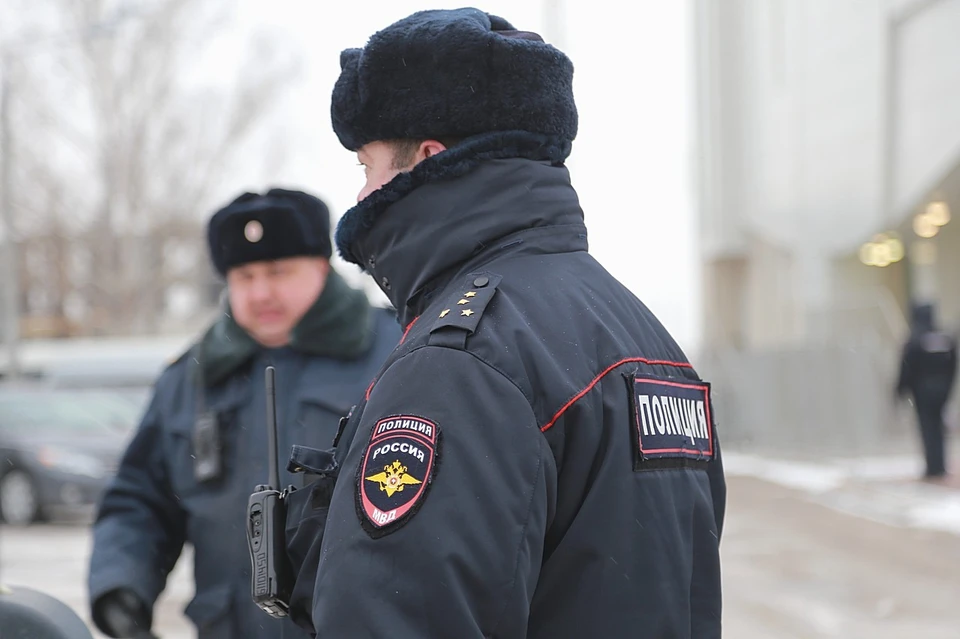 В Эвенкии улицы поселка патрулируют из-за появления волка-одиночки