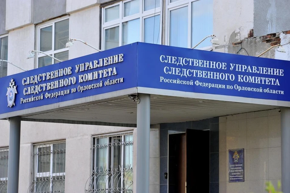 Орловец заплатит почти 80 тысяч рублей за комментарий в соцсетях