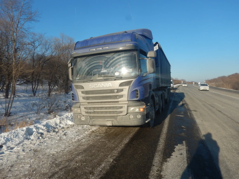 Водитель Scania был избит в Надеждинском районе Приморья. Полиция ищет очевидцев. Фото: пресс-служба УМВД России по Приморскому краю