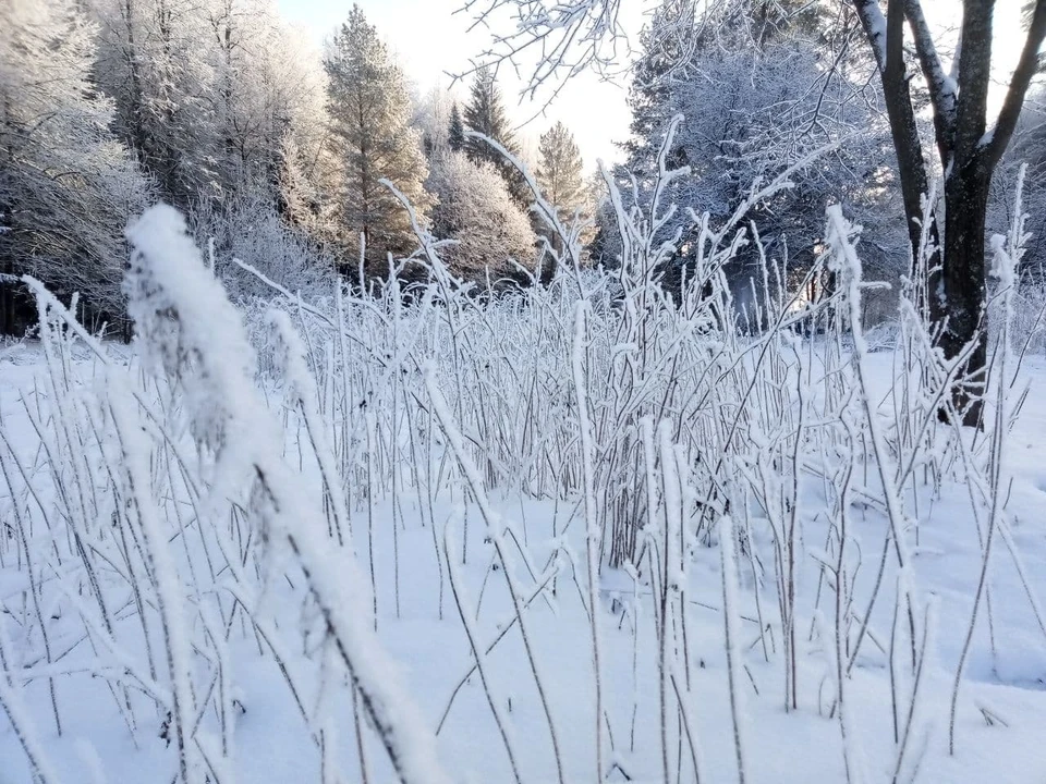 Завтра в Прикамье пойдет снег.