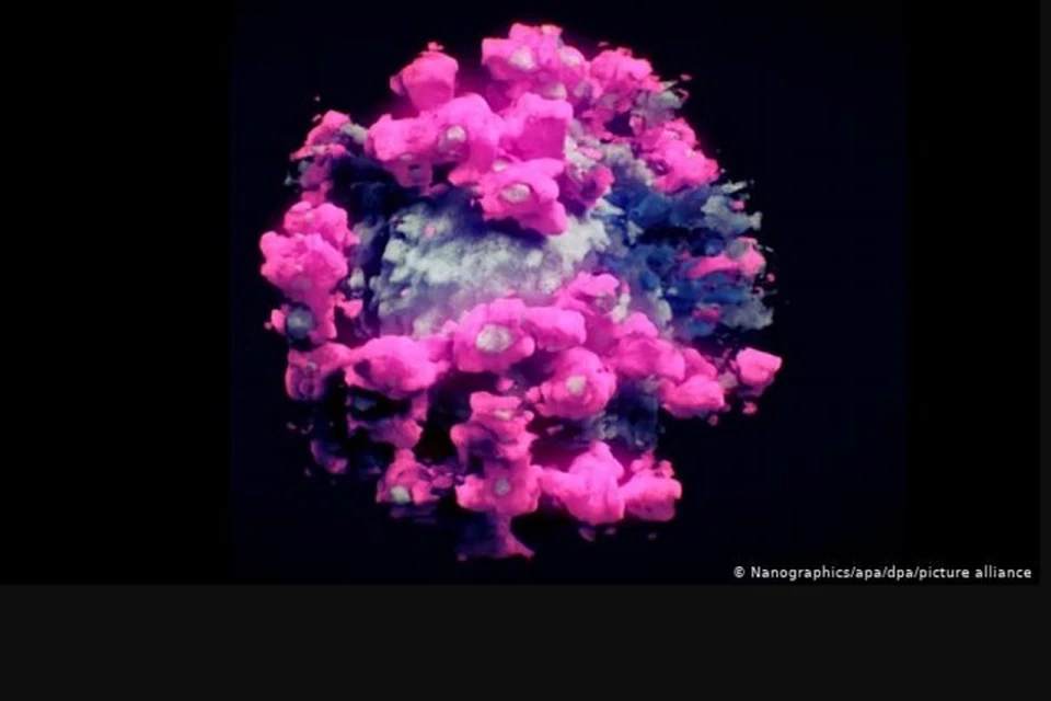 Ученые смогли сфотографировать коронавирус впервые. Фото: Nanographics.