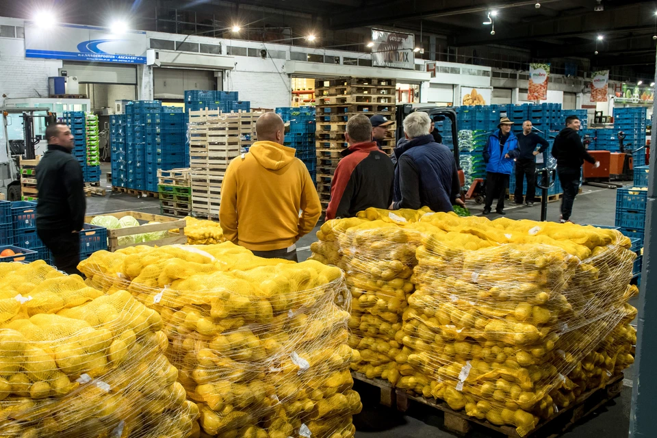 "Ъ": картофельный союз предложил сетям продавать несортированные корнеплоды экономкласса