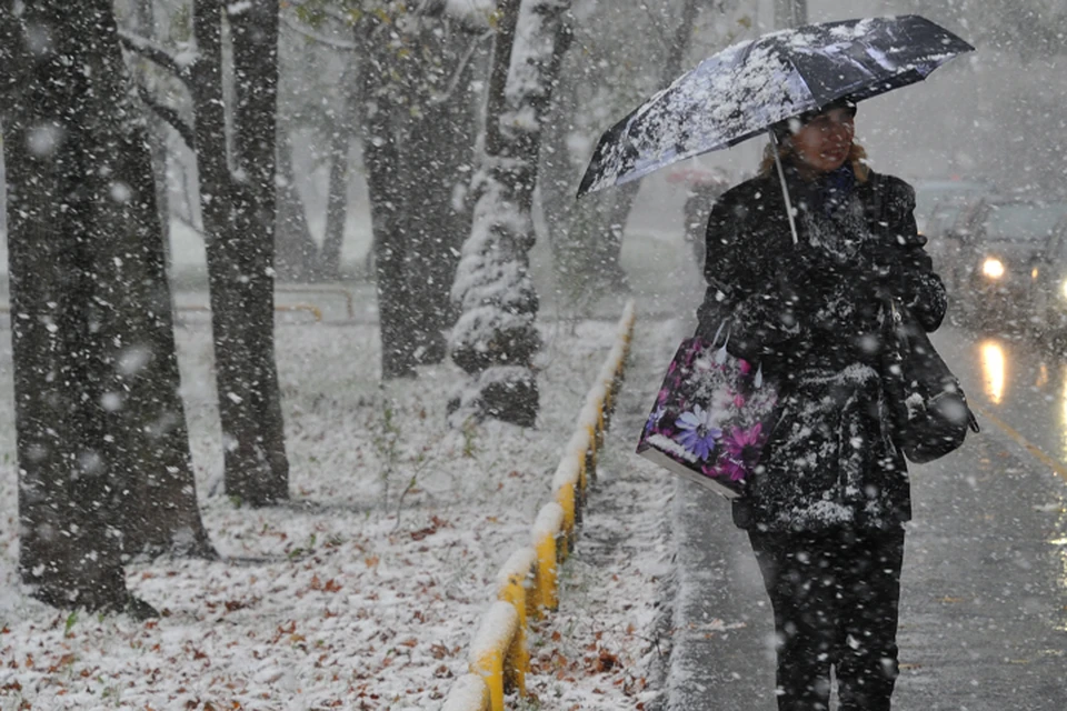В Брянской области в среду, 27 января, синоптики прогнозируют мокрый снег. туман и гололед.