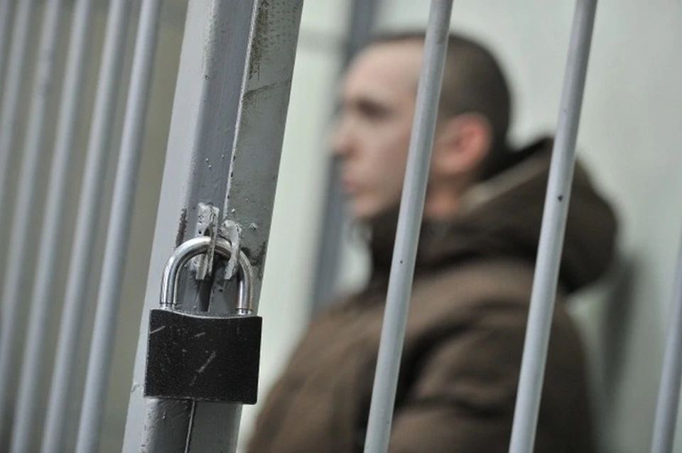 Мужчина получил 8 лет колонии строгого режима