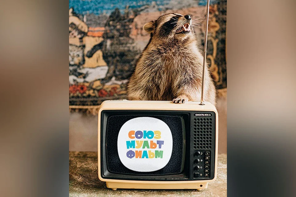 Енот Тема из Кемерова стал амбассадором анимационного мюзикла. ФОТО: instagram.com/raccoon.tema/