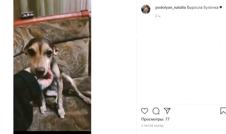 За год Молли окрепла и почувствовала себя настоящей хозяйкой в доме