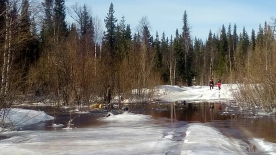 Место гибели пассажиров транспортера. Фото: Следком по Коми