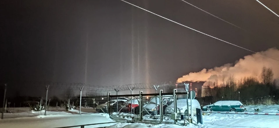 Фото: Александр Дыньков.