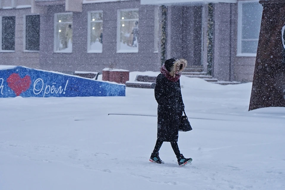 Орловскую область засыпает снегом