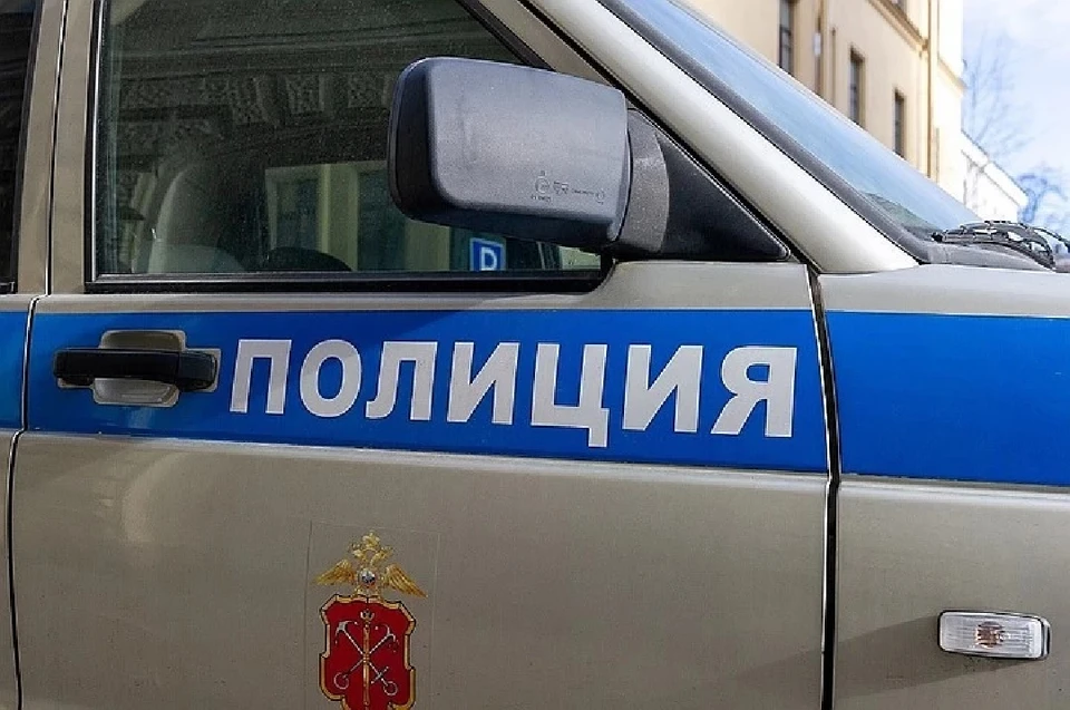 Женщина забрала телефон у продавца в магазине электроники.