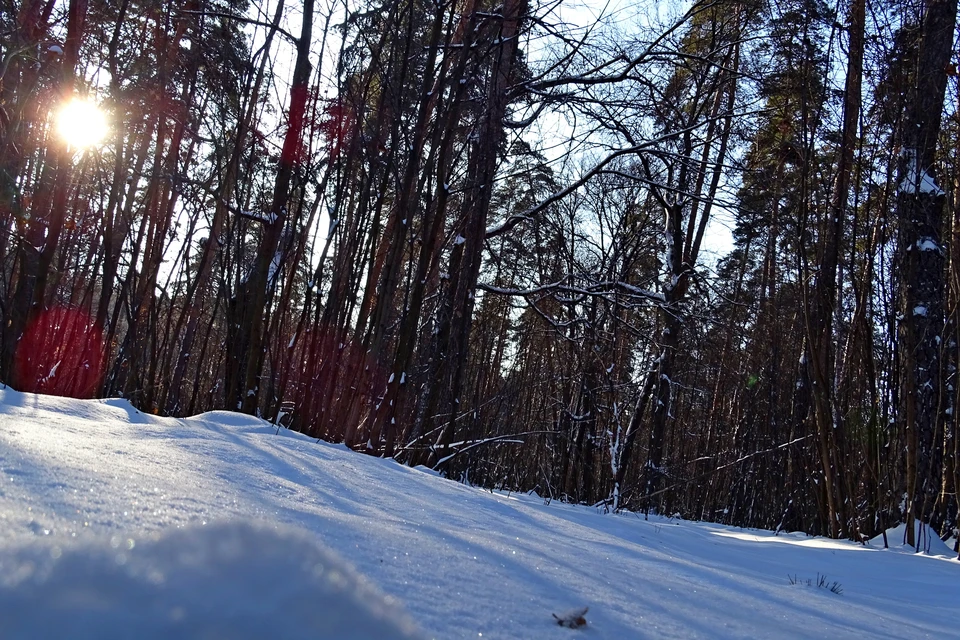 В Липецке морозно и без осадков