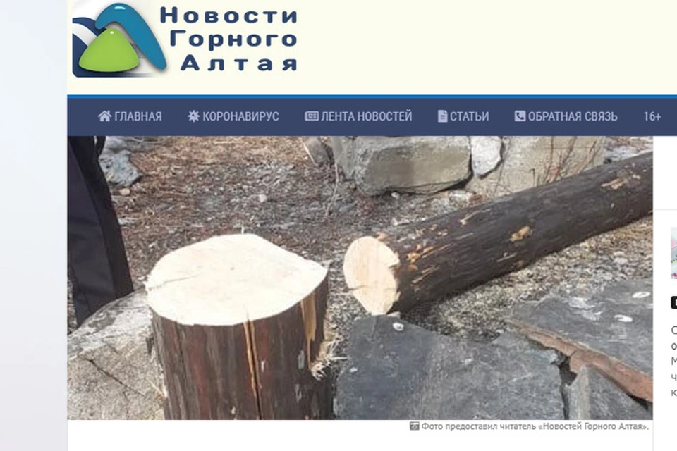 Спиленный столб (фото: скриншот сайта Новости Горного Алтая)