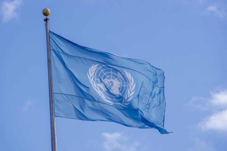 Лондон намерен призвать ООН отреагировать на нарушения прав человека в РФ, Беларуси и КНР