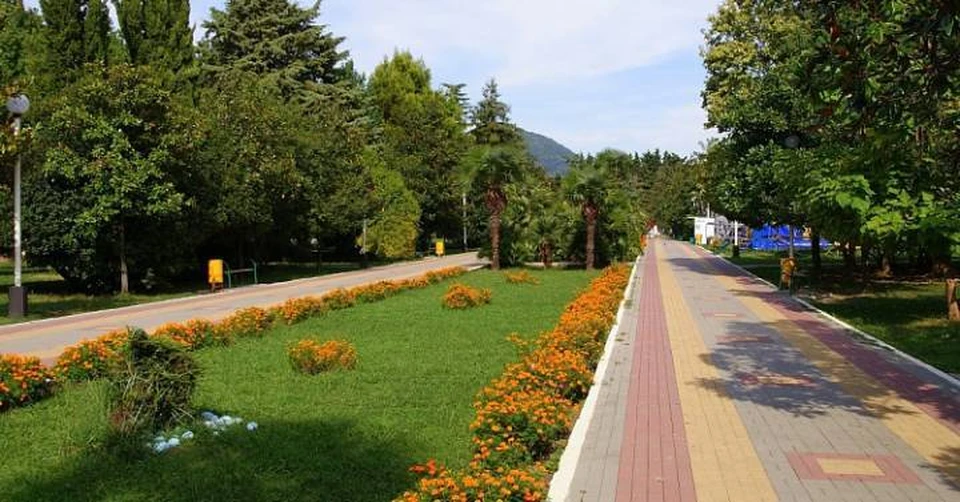Фото мэрии Сочи
