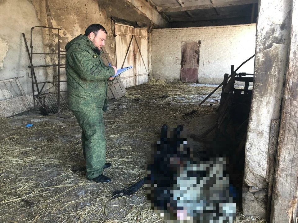 Тело мужчины было найдено в коровнике