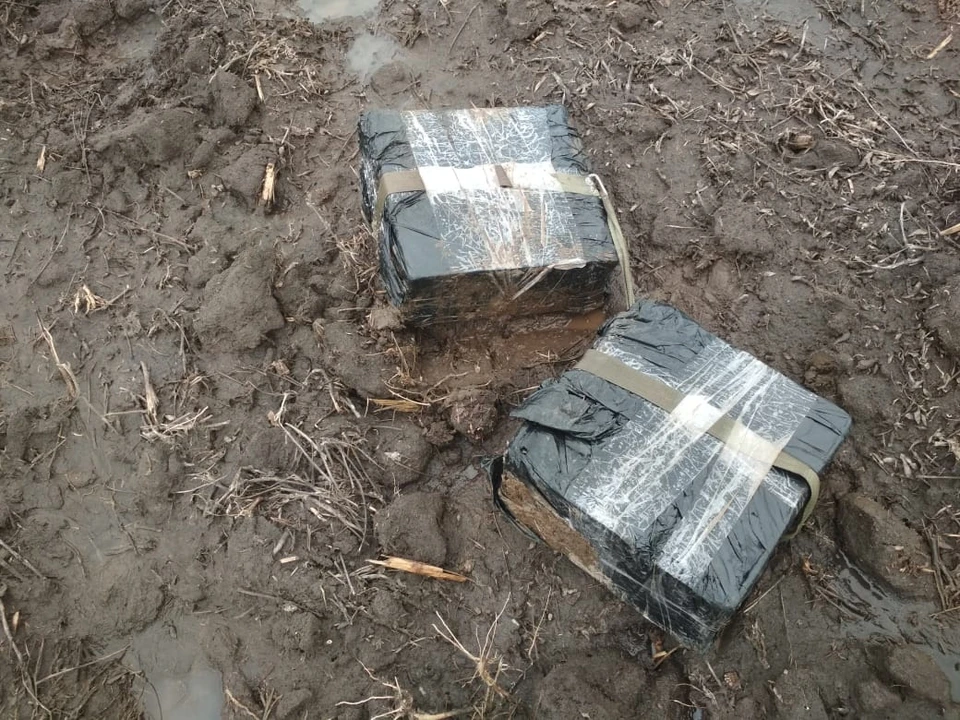 Фото предоставлено пресс-службой Пограничного управления Белгородской области.