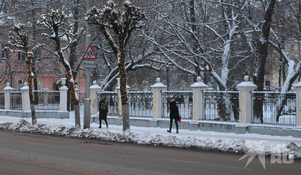 Рязанские чиновники хотят уничтожить старинную ограду Наташиного парка.