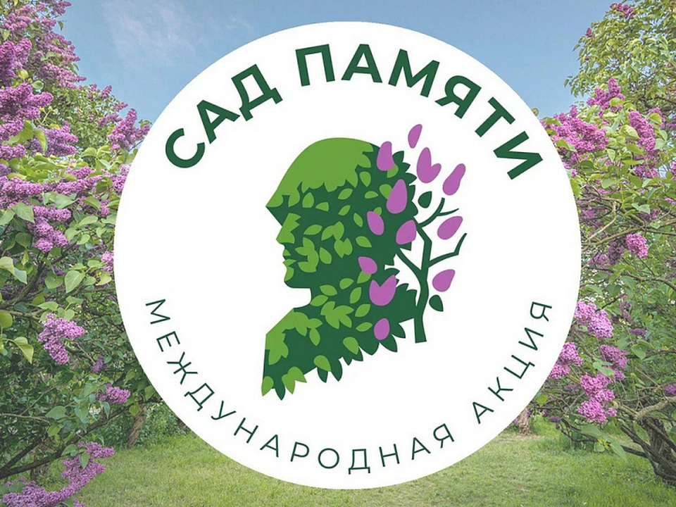 Фото: пресс-служба администрации Краснодарского края