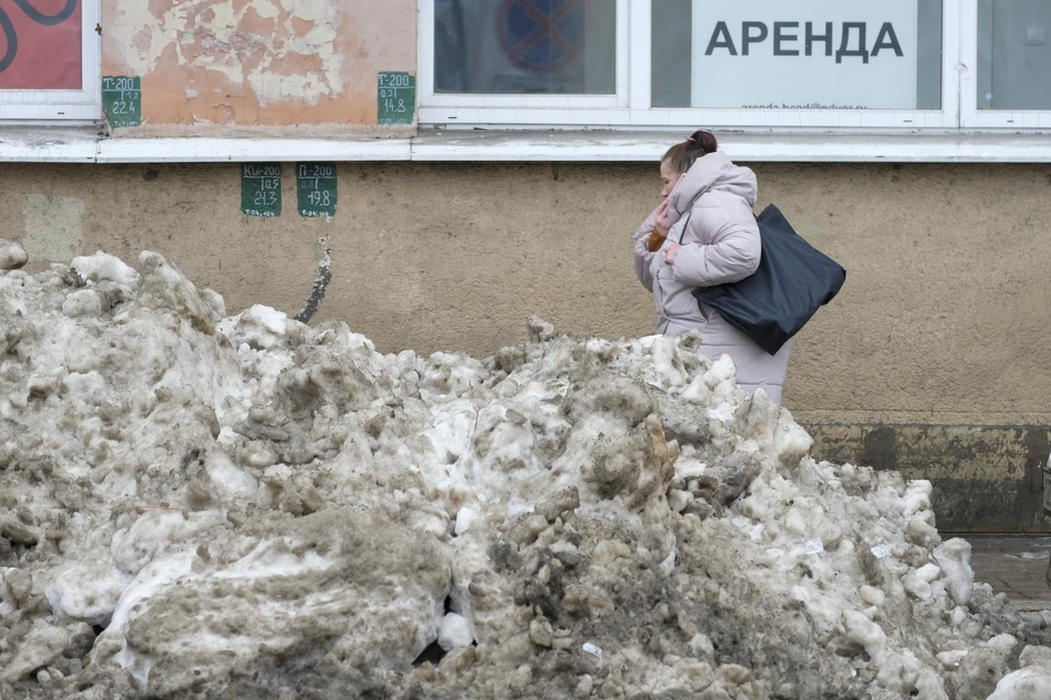 Жилищный комитет проверил качество уборки дворов в Петербурге