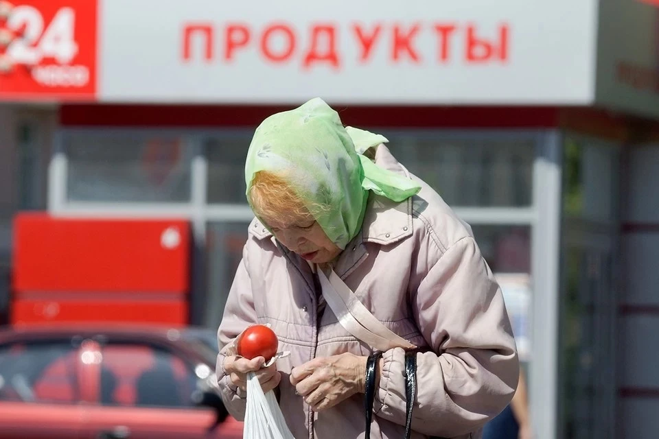 В Союзе потребителей предложили ввести в России ежемесячные продовольственные субсидии
