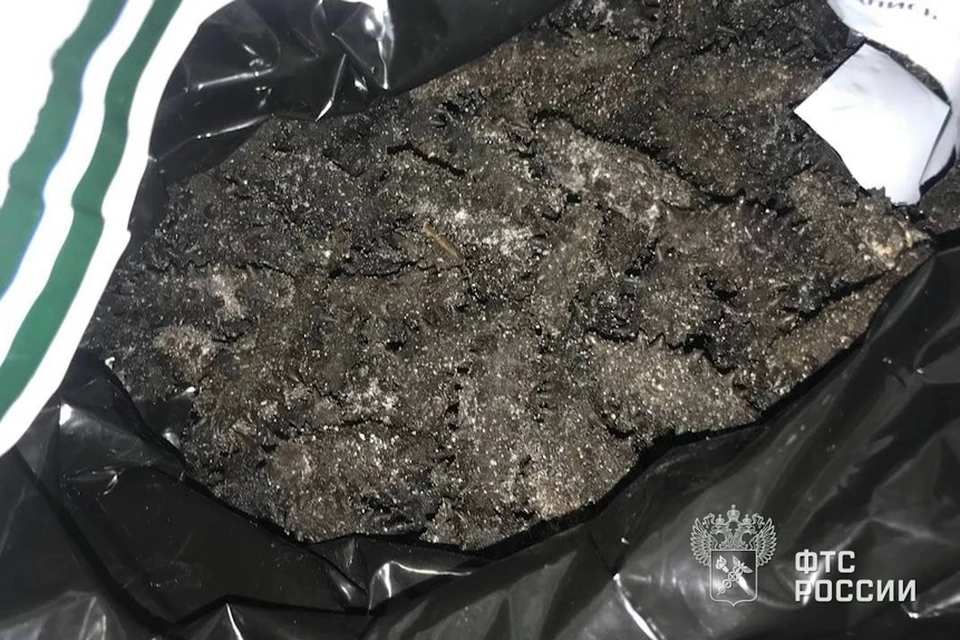 Более 700 килограммов контрабандного трепанга задержали в поселке Краскино в Приморье. Скриншот видео: пресс-служба Уссурийской таможни