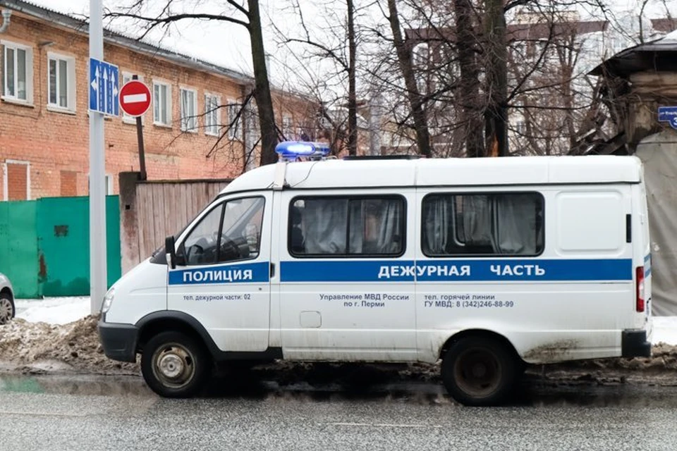 В полиции приняли заявление, проводится проверка.