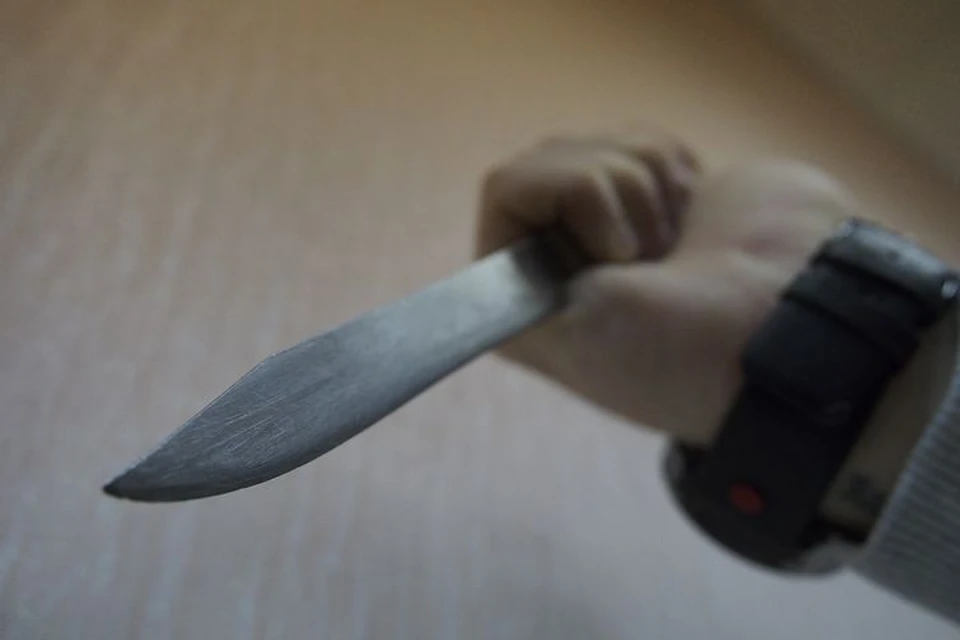 Ударил ножом во время ссоры