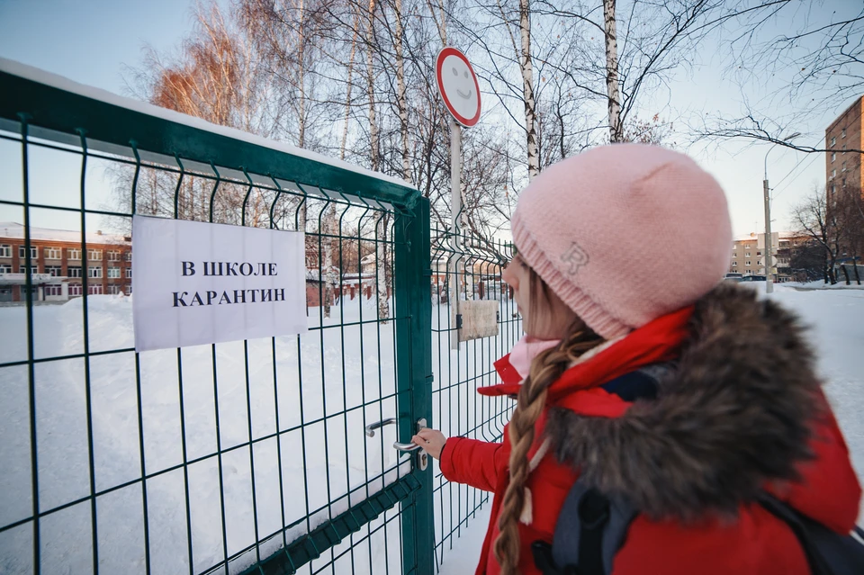 Часть образовательных учреждений в Удмуртии закрыли на карантин