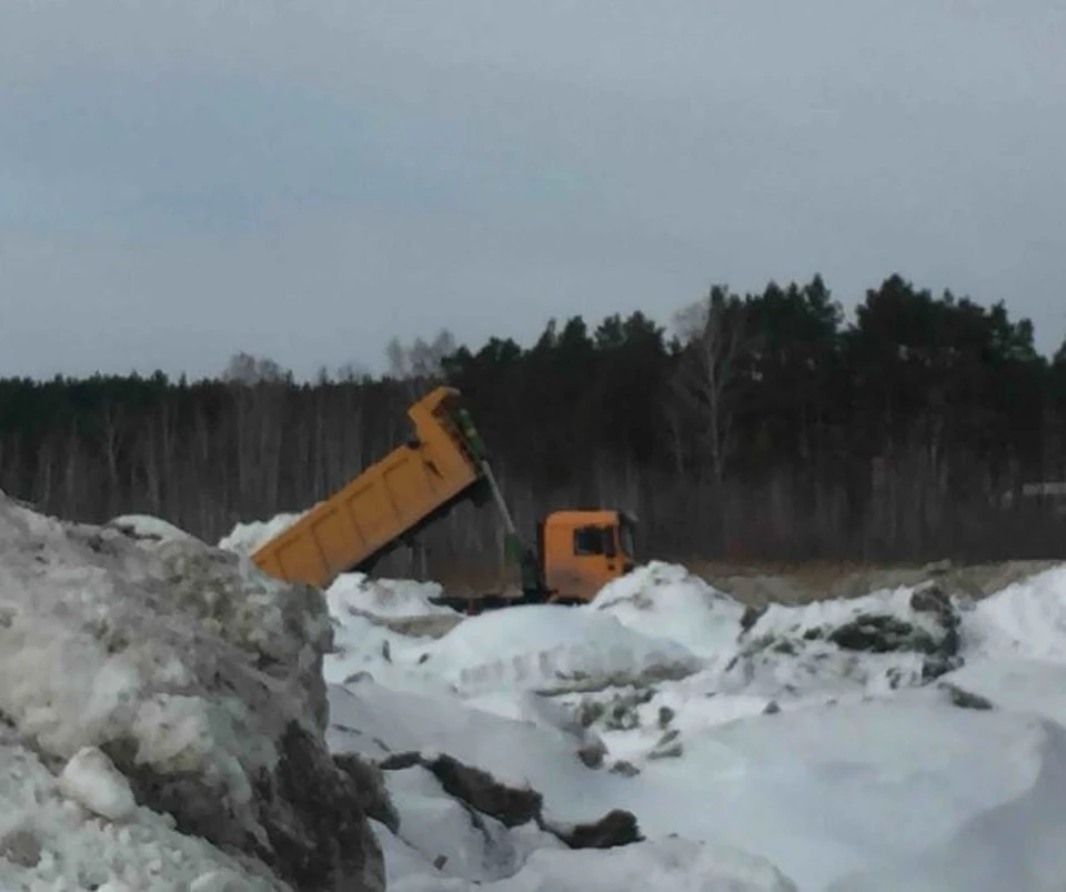 В Тюмени большегрузы вывозят снег в лес и поля.