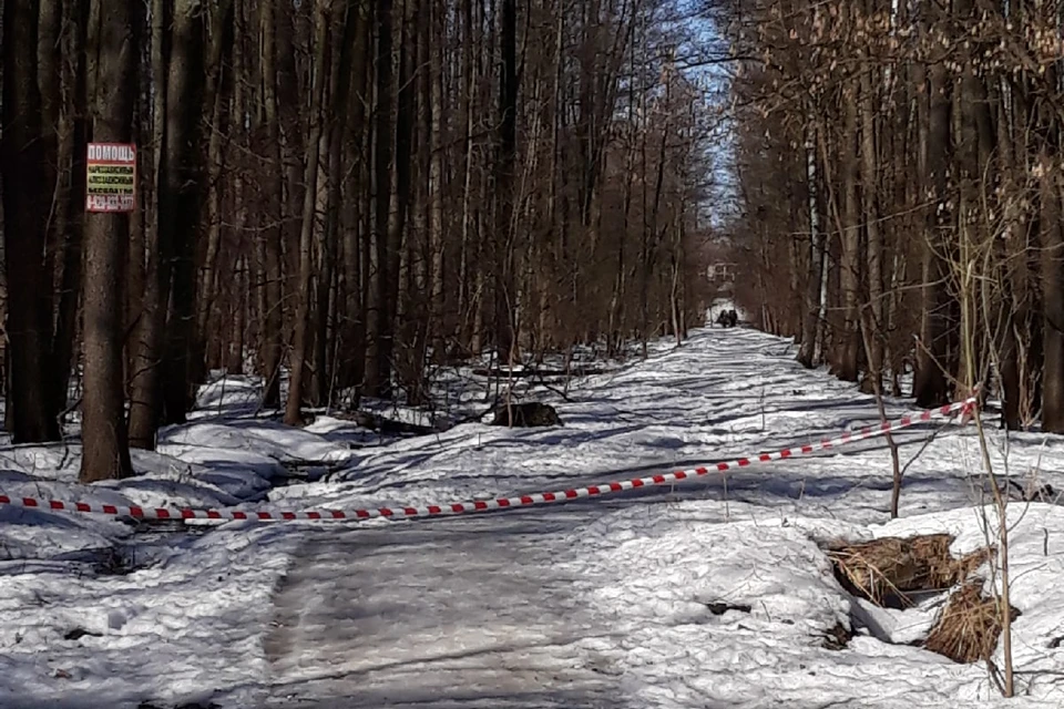 На месте ЧП и в округе продолжают работать полицейские и следователи.