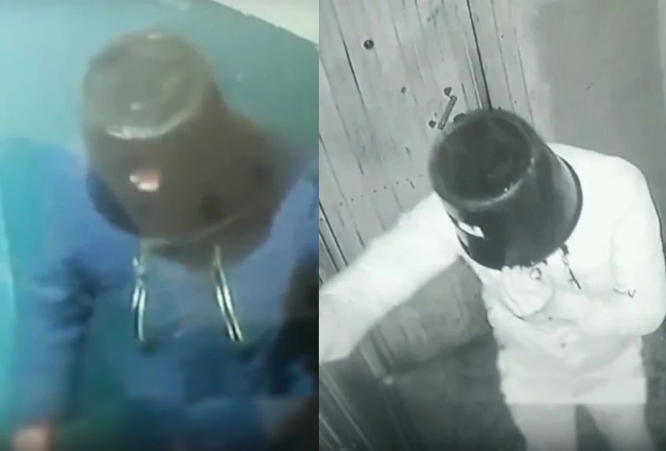 Новосибирцы выложили в сеть забавный ролик с весьма нестандартной кражей в подъезде. Фото: Кадр из видео
