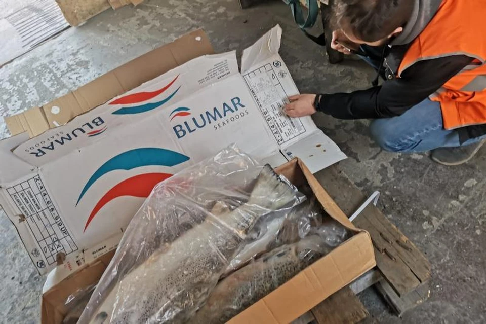 Семгу из Чили переупаковали, вывернув коробки на изнанку и указав страну-производителя КНР. Фото: пресс-служба Управления Россельхознадзора по Приморскому краю и Сахалинской области