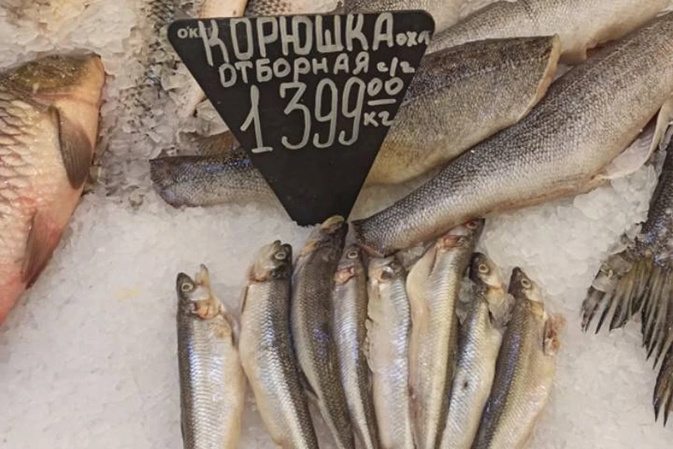 Жители Петербурга жалуются на высокие цены на корюшку в магазинах