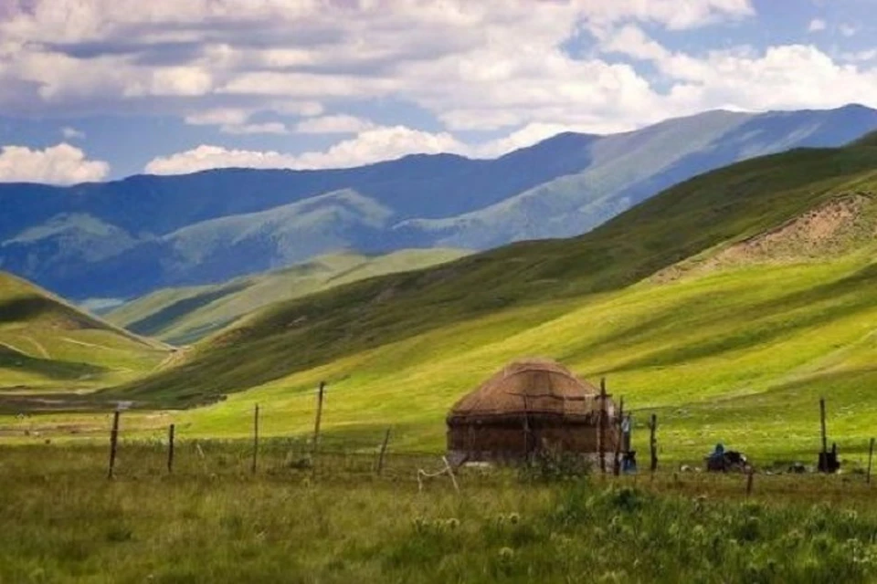 Наша страна занимает 6-е место в мире по площади сельскохозяйственных угодий, в среднем на каждого казахстанца приходится около 1,3 гектара пашни.