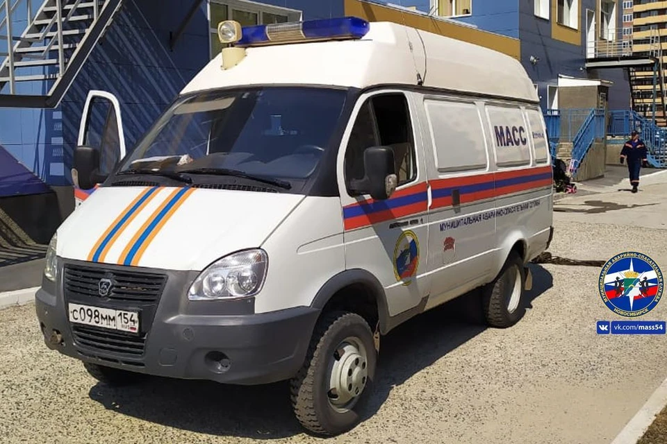 Служба приняла 9 вызовов за сутки. Фото: МАСС.