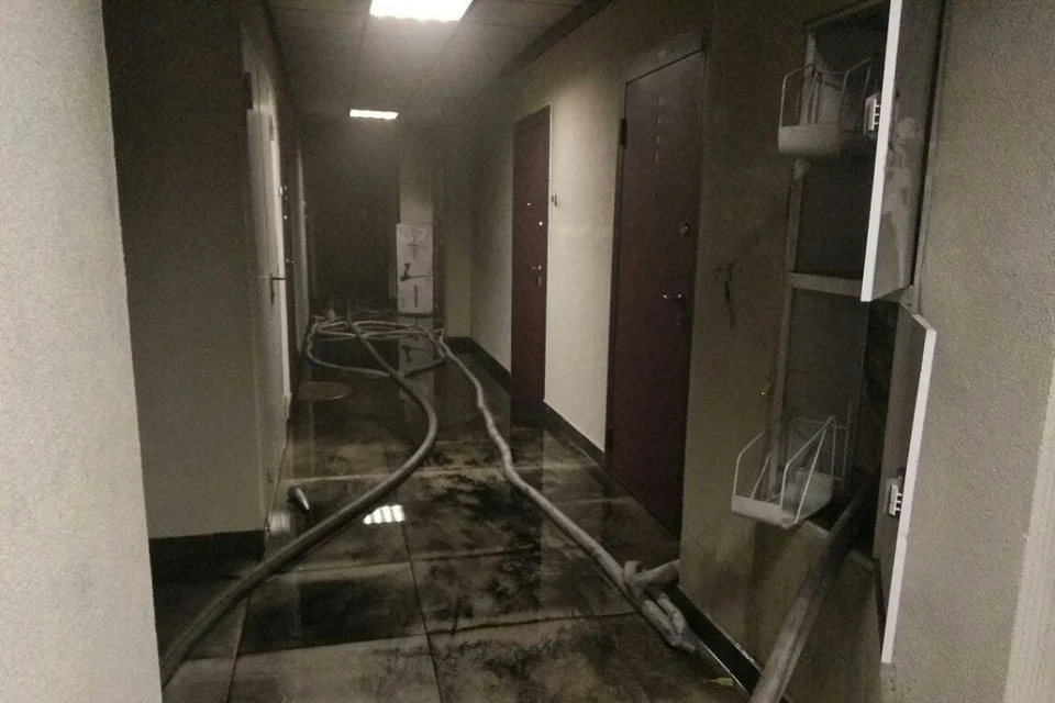 Пожар возник на 10 этаже жилого дома в Кудрово. Фото: Администрация ЛО.