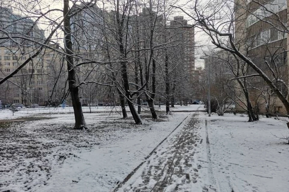 На проводах и деревьях будет лежать мокрый липкий снег